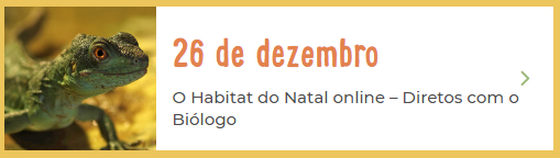 26 de dezembro