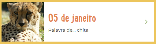 5 dezembro