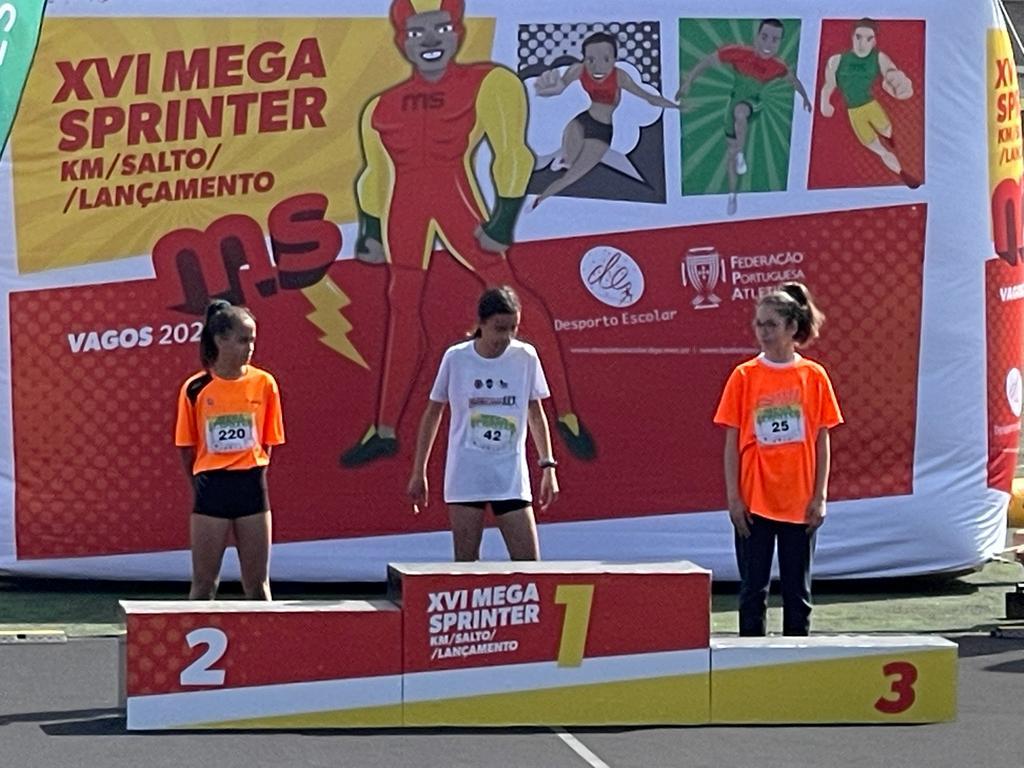 palma 1